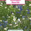 Blumenwiese Blumenteppich Blaues Feld (100 G) | Blumensamen Von Bertrand