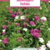 Blumenwiese Blumenteppich Fuchsias (100 G) | Blumensamen Von Bertrand