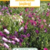 Blumenwiese Duftende Blumen (einjährig) (100 G) | Blumensamen Von Bertrand
