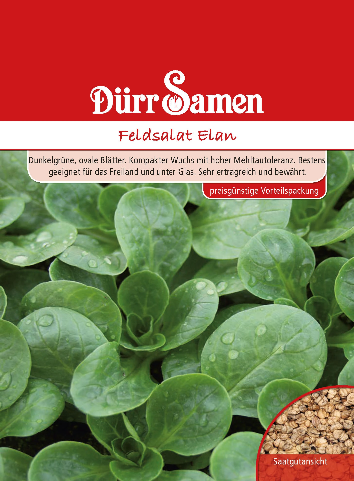 Feldsalat Elan Vorteilspackung | Feldsalatsamen Von Dürr Samen – Bild 2