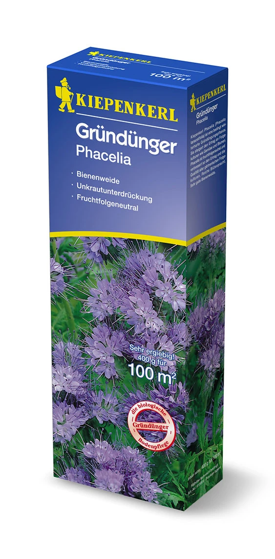 Phacelia (0,4 Kg) | Phaceliasamen Von Kiepenkerl