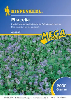 Phacelia (2 Kg) | Phaceliasamen Von Kiepenkerl