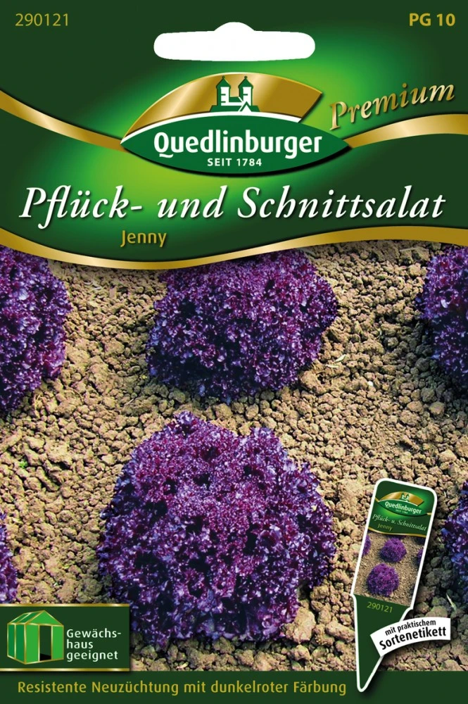 Pflücksalat Jenny | Pflücksalatsamen Von Quedlinburger