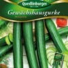 Gewächshausgurke Marumba F1 | Gurkensamen Von Quedlinburger