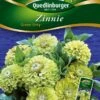 Zinnien Green Envy | Zinniensamen Von Quedlinburger