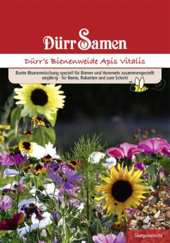 Bienen- Und Hummelweide Apis Vitalis 50 M² | Blumensamen Von Dürr Samen