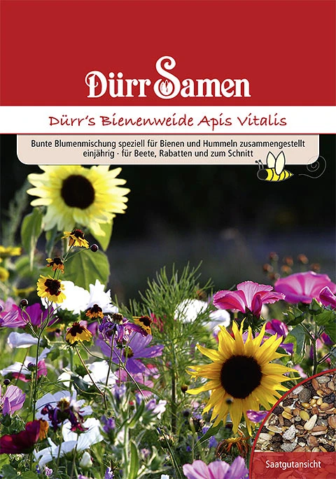 Bienen- Und Hummelweide Apis Vitalis 50 M² | Blumensamen Von Dürr Samen