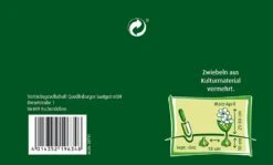 Tulpe Greigii Prachtmischung (10 Stück) | Greigii-Tulpen Von Quedlinburger