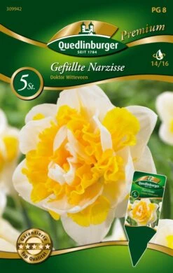 Narzisse Doktor Witteveen (5 Stück) | Narzissenzwiebeln Von Quedlinburger