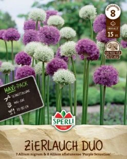 Zierlauch Mischung (15 Stück) | Zierlauchzwiebeln Von Sperli
