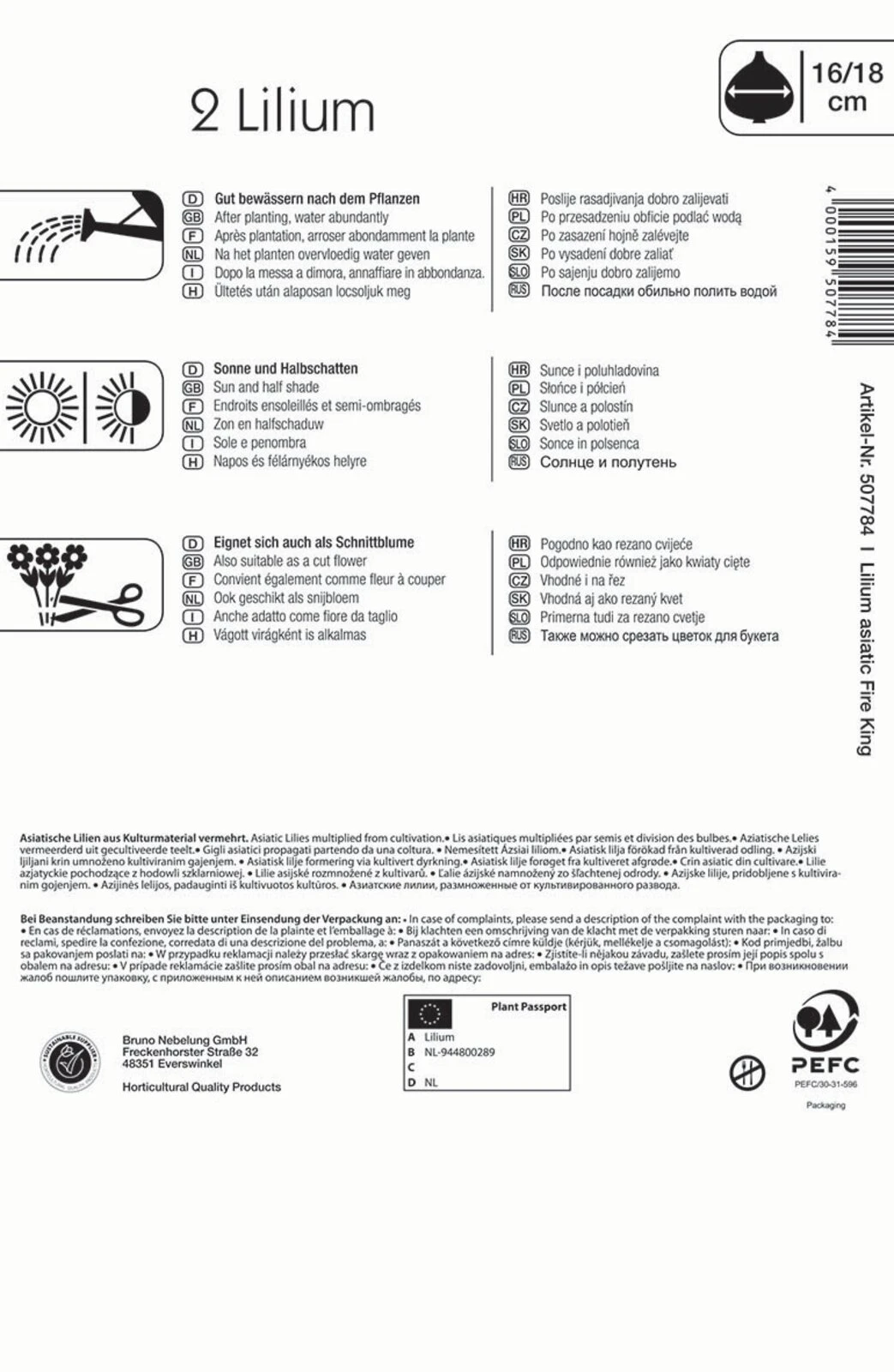 Lilie Fire King (2 Stück) | Lilienzwiebeln Von Kiepenkerl