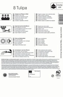 Gefüllte Frühe Tulpe Showcase (8 Stück) | Tulpenzwiebeln Von Kiepenkerl