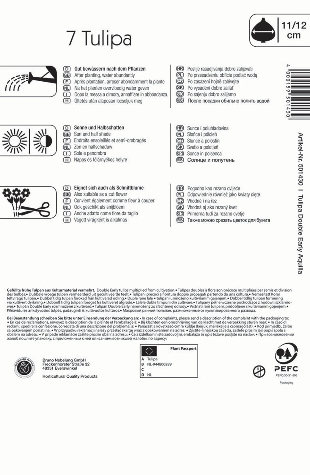 Mehrblütige Tulpen Aquilla (7 Stück) | Tulpenzwiebeln Von Kiepenkerl