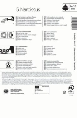 Narzisse Paperwhite (5 Stück) | Narzissenzwiebeln Von Kiepenkerl