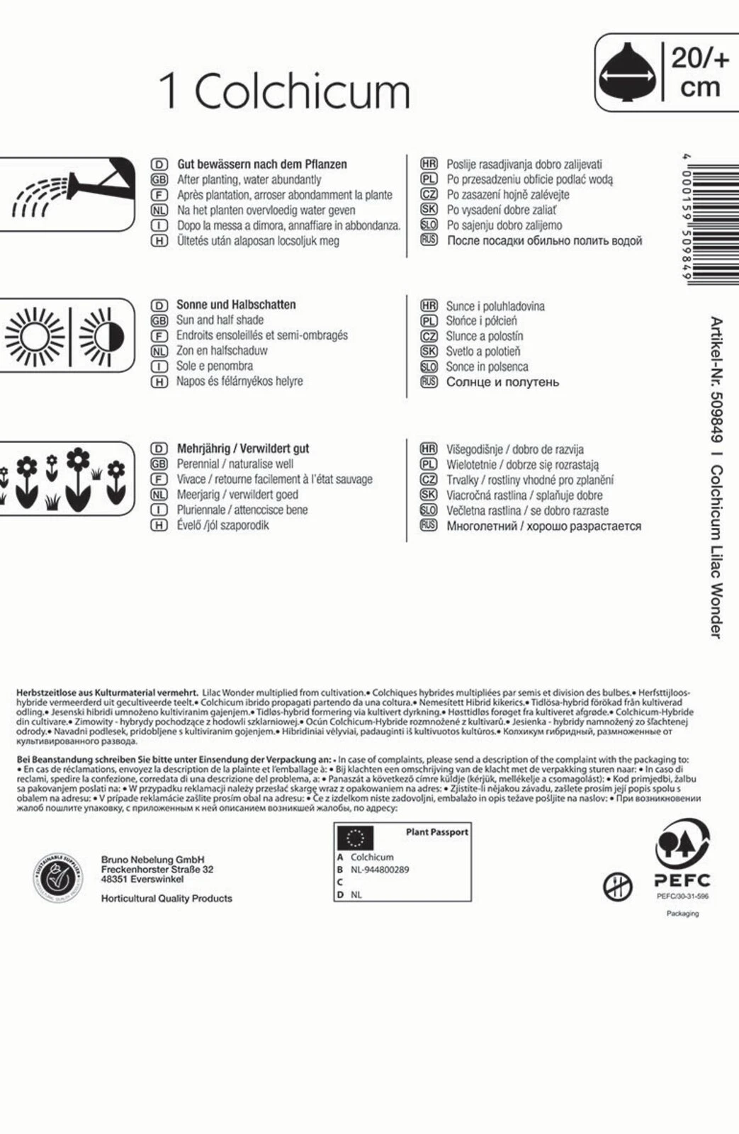 Herbstzeitlose Lilac Wonder (1 Stück) | Herbstzeitlosen Von Kiepenkerl