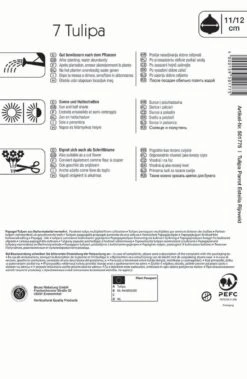 Papagei Tulpe Estella Rijnveld (7 Stück) | Tulpenzwiebeln Von Kiepenkerl