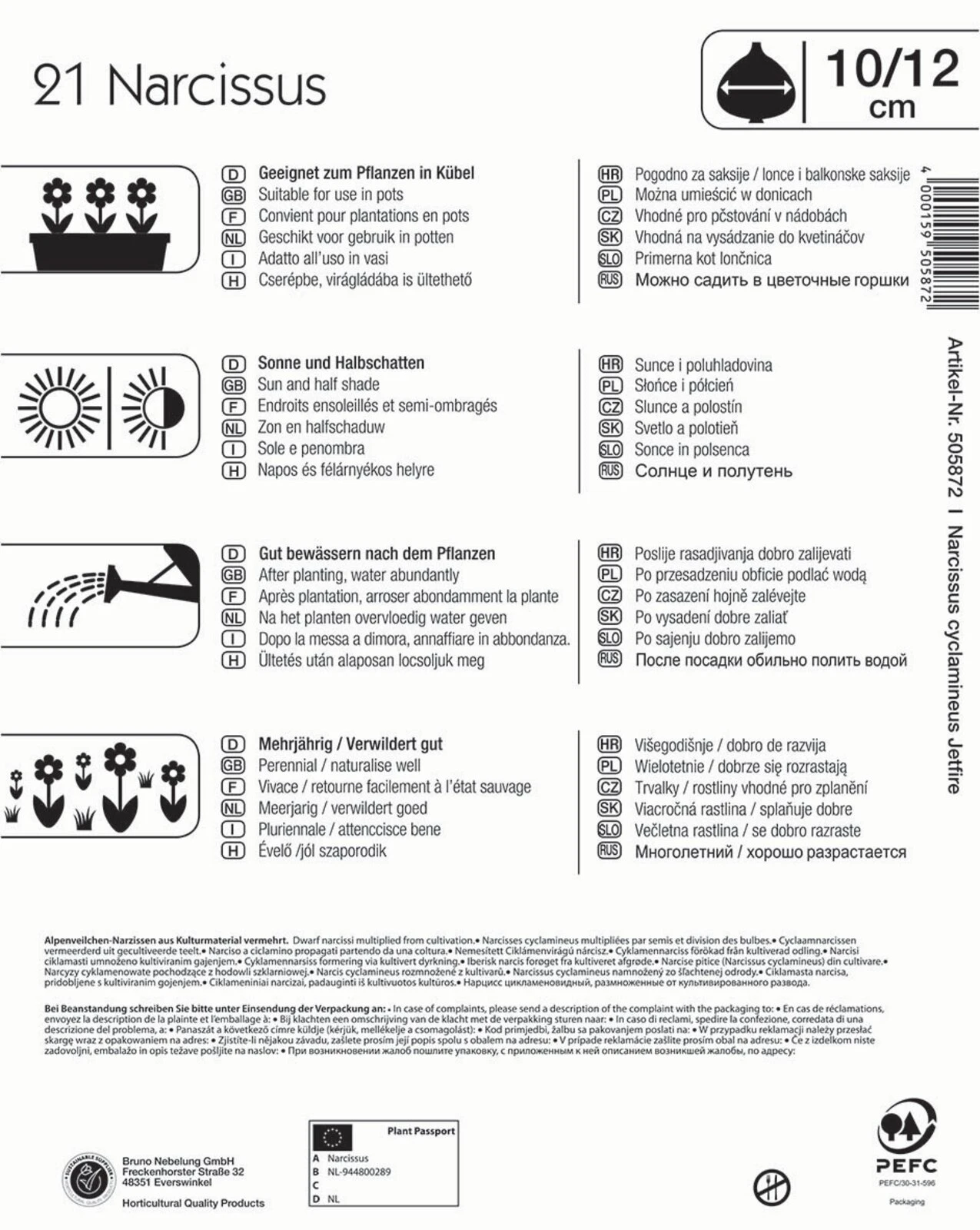 Mega-Pack Narzisse Jetfire (21 Stück) | Narzissenzwiebeln Von Kiepenkerl – Bild 2