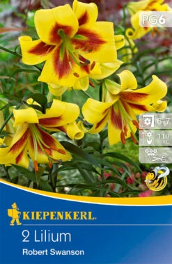 Lilie Robert Swanson (2 Stück) | Lilienzwiebeln Von Kiepenkerl
