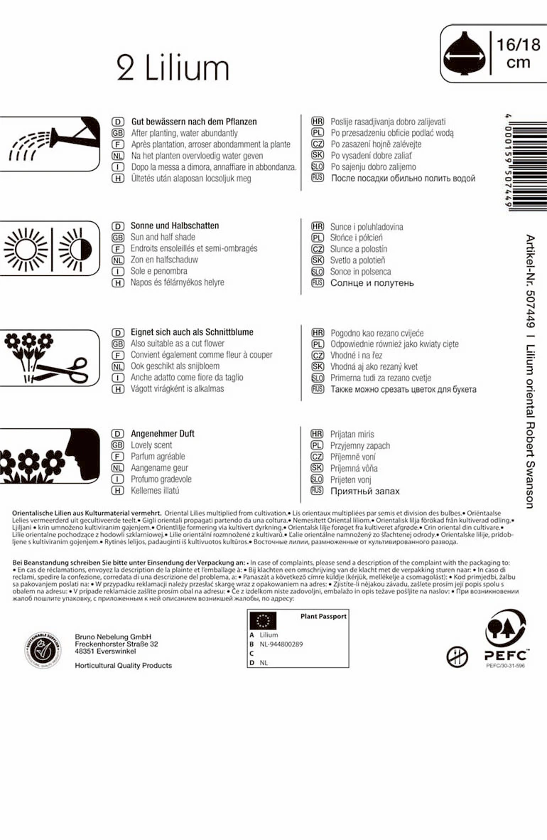 Lilie Robert Swanson (2 Stück) | Lilienzwiebeln Von Kiepenkerl – Bild 2