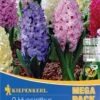 Mega-Pack Hyazinthe Mischung (9 Stück) | Hyazinthenzwiebeln Von Kiepenkerl