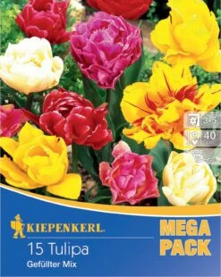 Mega-Pack Gefüllte Tulpen Mischung (15 Stück) | Tulpenzwiebeln Von Kiepenkerl