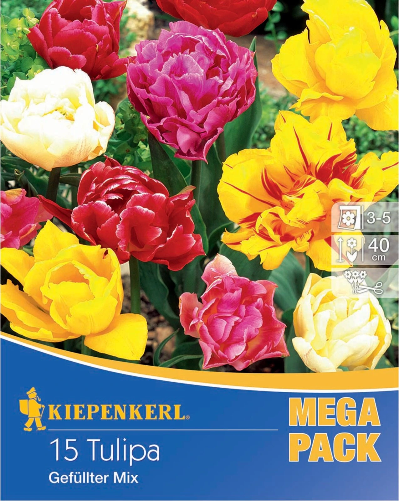 Mega-Pack Gefüllte Tulpen Mischung (15 Stück) | Tulpenzwiebeln Von Kiepenkerl