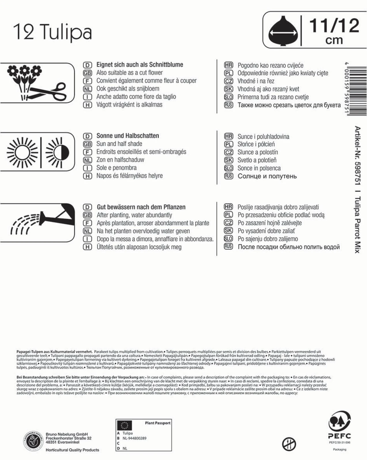 Mega-Pack Papagei Tulpe Papageien Mischung (12 Stück) | Tulpenzwiebeln Von Kiepenkerl – Bild 2