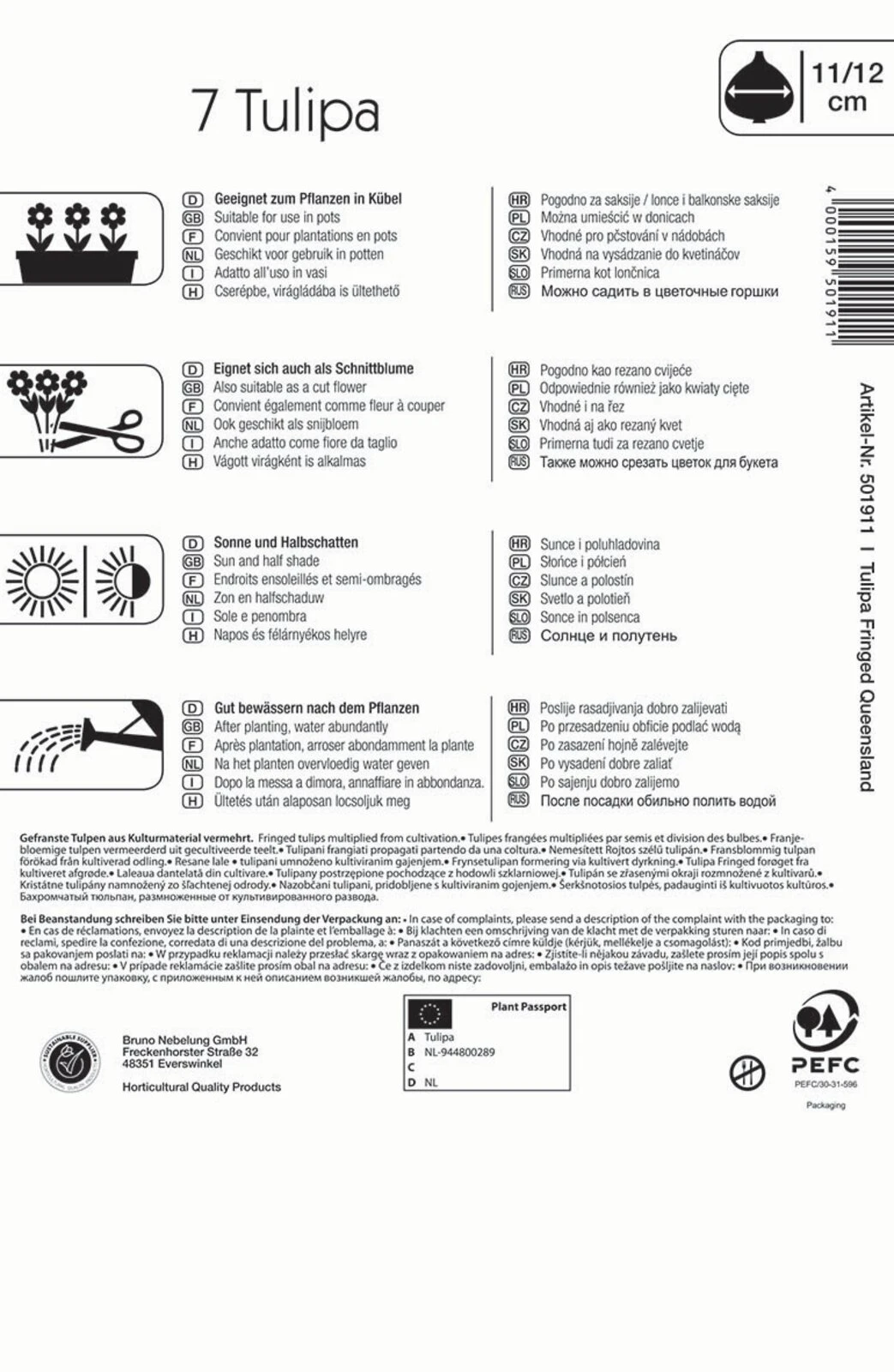 Gefranste Tulpe Queensland (7 Stück) | Tulpenzwiebeln Von Kiepenkerl