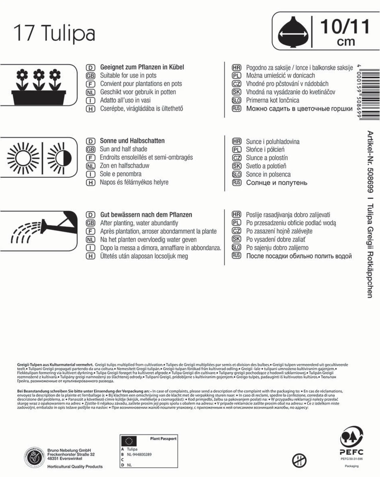 Mega-Pack Greigii-Tulpe Rotkäppchen (17 Stück) | Tulpenzwiebeln Von Kiepenkerl – Bild 2