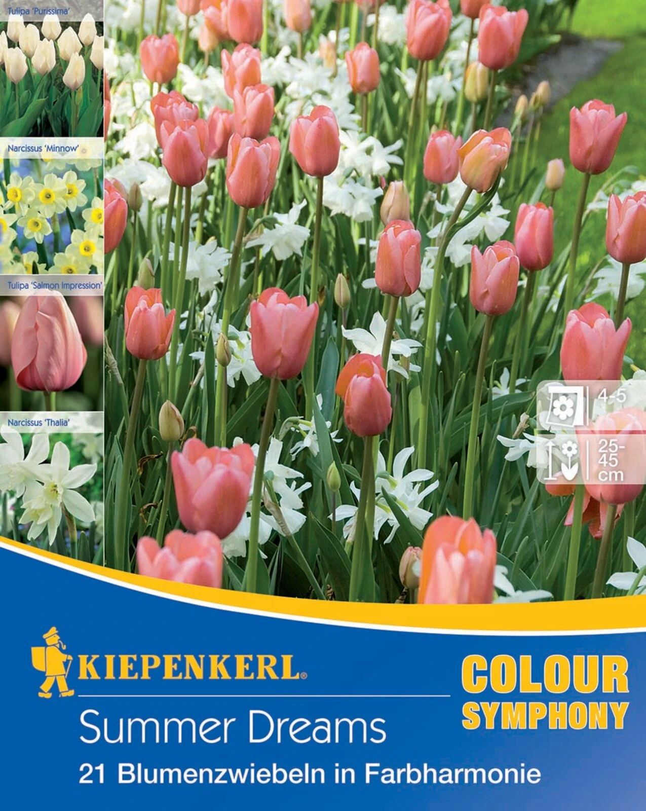 Colour Symphony Summer Dreams (21 Stück) | Blumenzwiebelmischungen Von Kiepenkerl – Bild 2