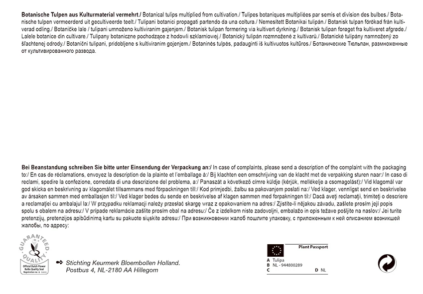 Tulpe Botanic Mix (30 Stück) | Tulpenzwiebeln Von Pegasus