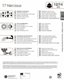 Mega-Pack Narzisse Dick Wilden (17 Stück) | Narzissenzwiebeln Von Kiepenkerl