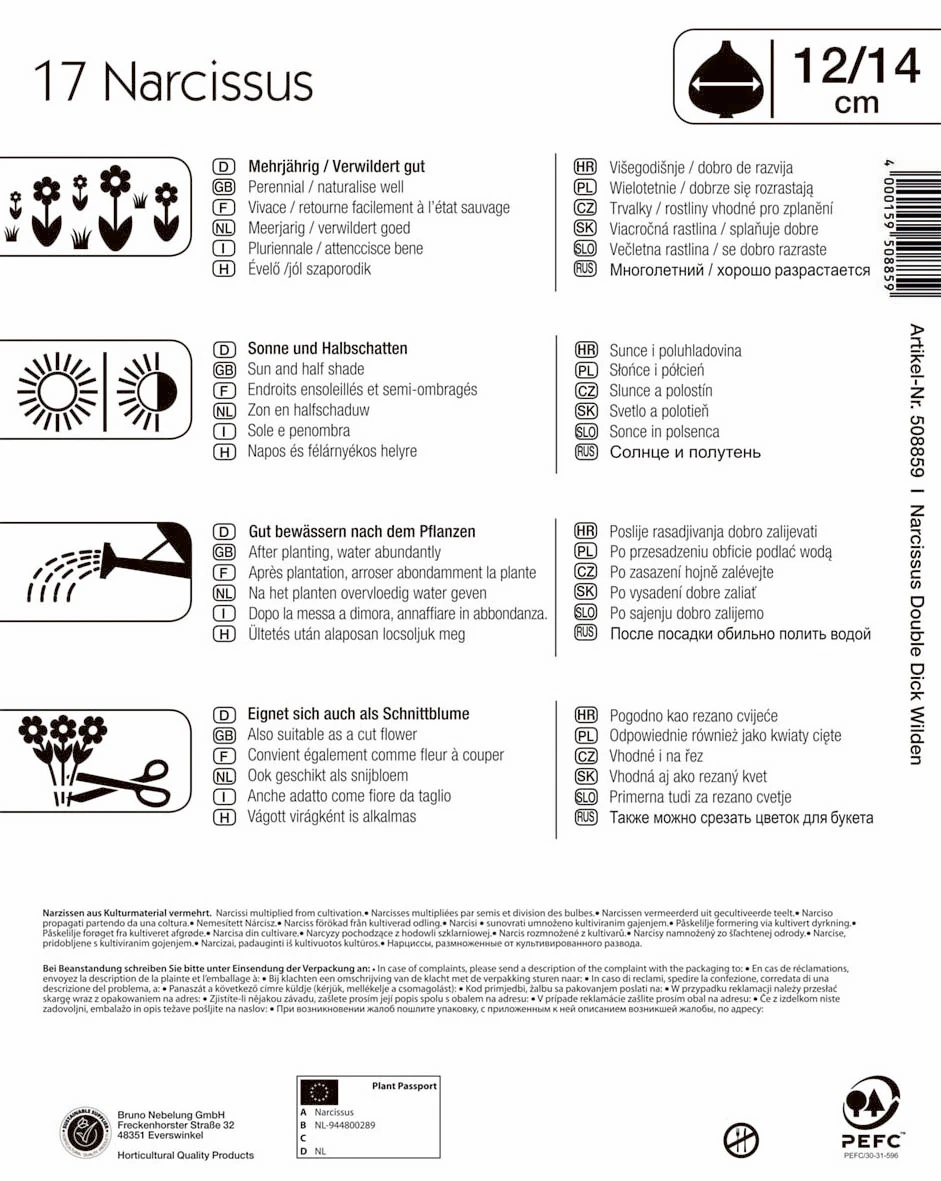 Mega-Pack Narzisse Dick Wilden (17 Stück) | Narzissenzwiebeln Von Kiepenkerl