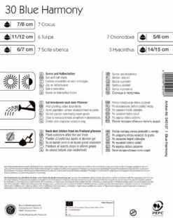 Colour Symphony Blue Harmony (30 Stück) | Blumenzwiebelmischungen Von Kiepenkerl