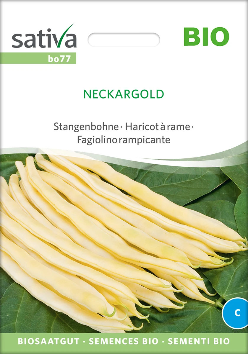 Stangenbohne Neckargold | BIO Stangenbohnensamen Von Sativa Rheinau – Bild 2
