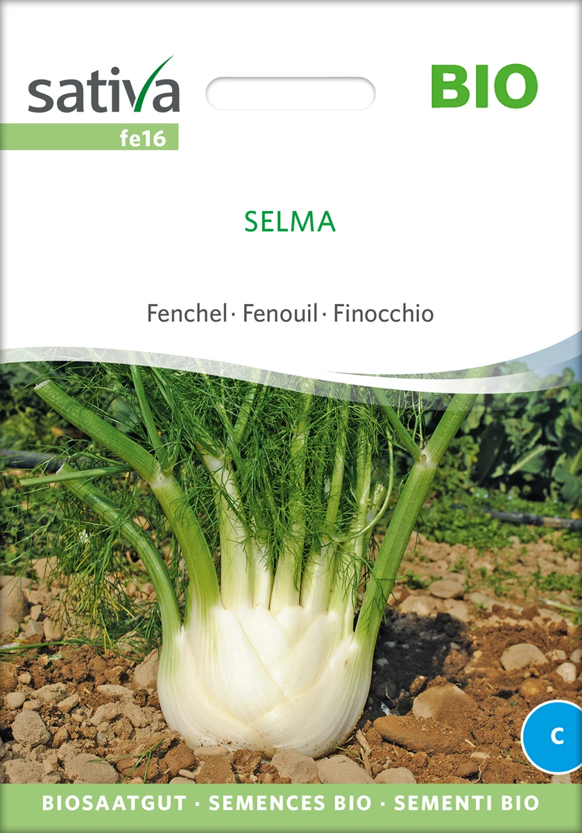 Knollenfenchel Selma | BIO Fenchelsamen Von Sativa Rheinau – Bild 2