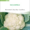 Blumenkohl Neckarperle | BIO Blumenkohlsamen Von Sativa Rheinau