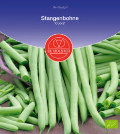 Stangenbohne Cobra | BIO Stangenbohnensamen Von De Bolster