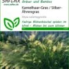 Kamelhaar-Gras / Silber-Ährengras | Gräsersamen Von Saflax