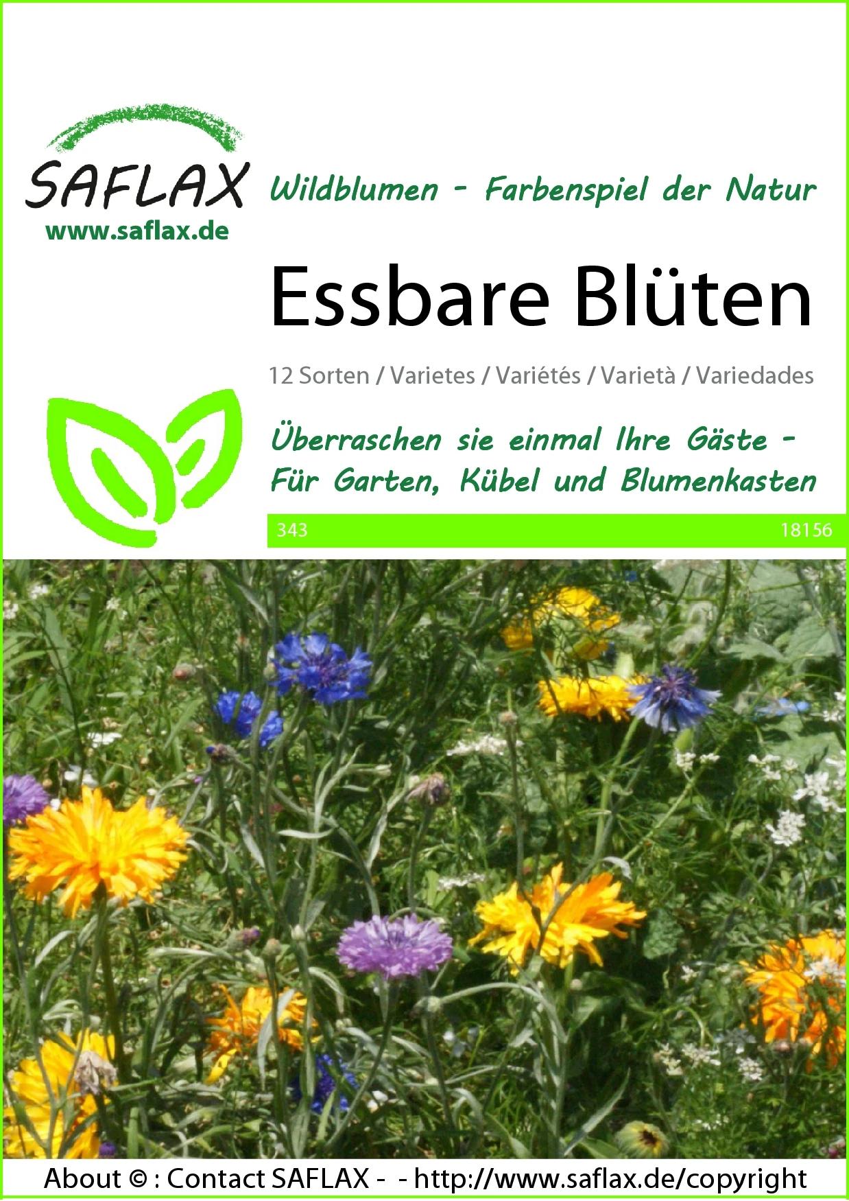 Blumenwiese Essbare Blüten | Wildblumenwiese Von Saflax – Bild 2