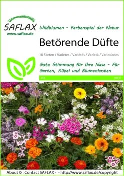 Blumenwiese Betörende Düfte | Wildblumenwiese Von Saflax