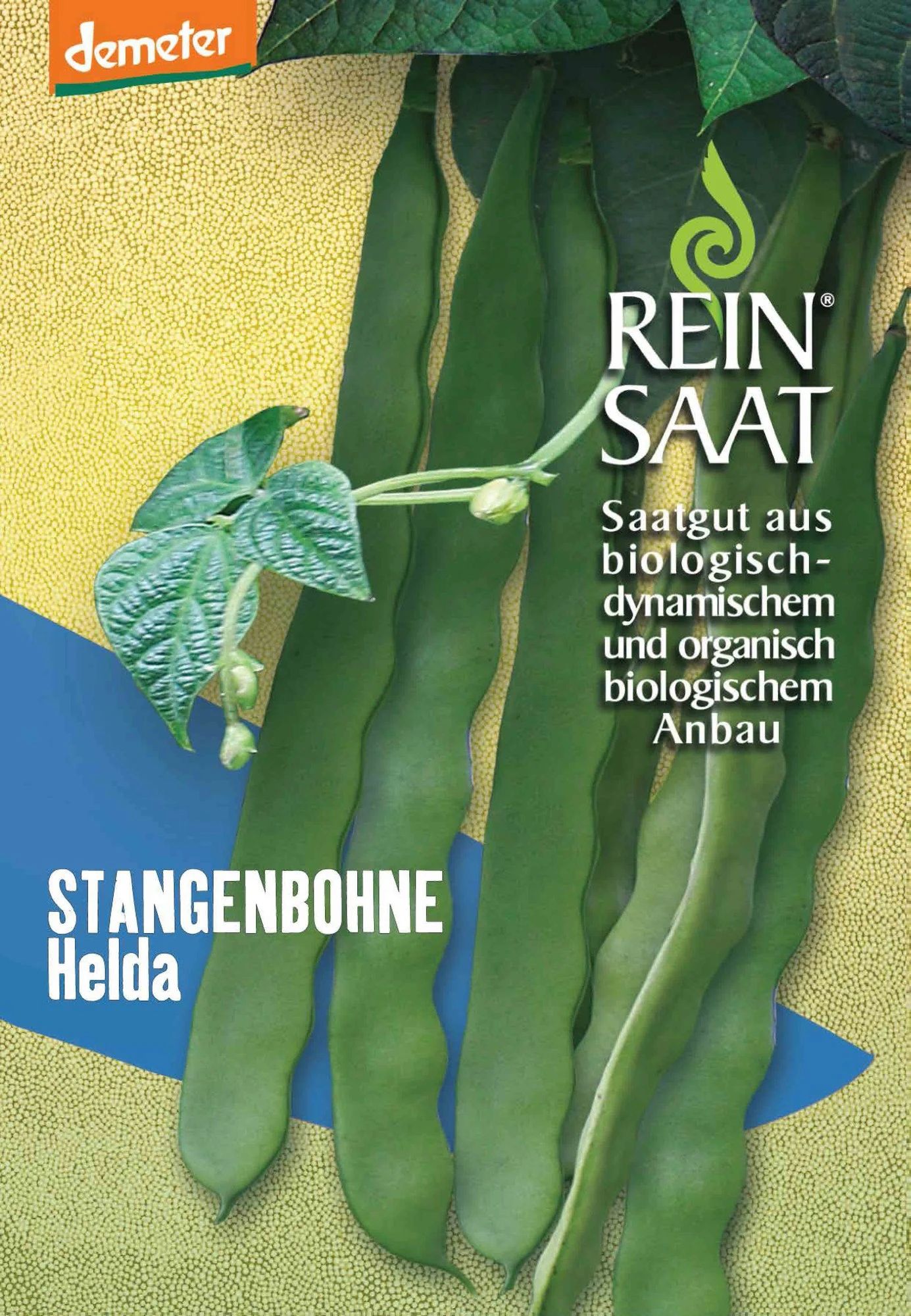 Stangenbohne Helda | BIO Stangenbohnensamen Von Reinsaat