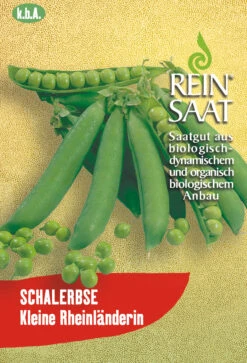 Schalerbse Kleine Rheinländerin | BIO Schalerbsensamen Von Reinsaat