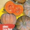 Kürbis Futsu Black | BIO Kürbissamen Von Reinsaat