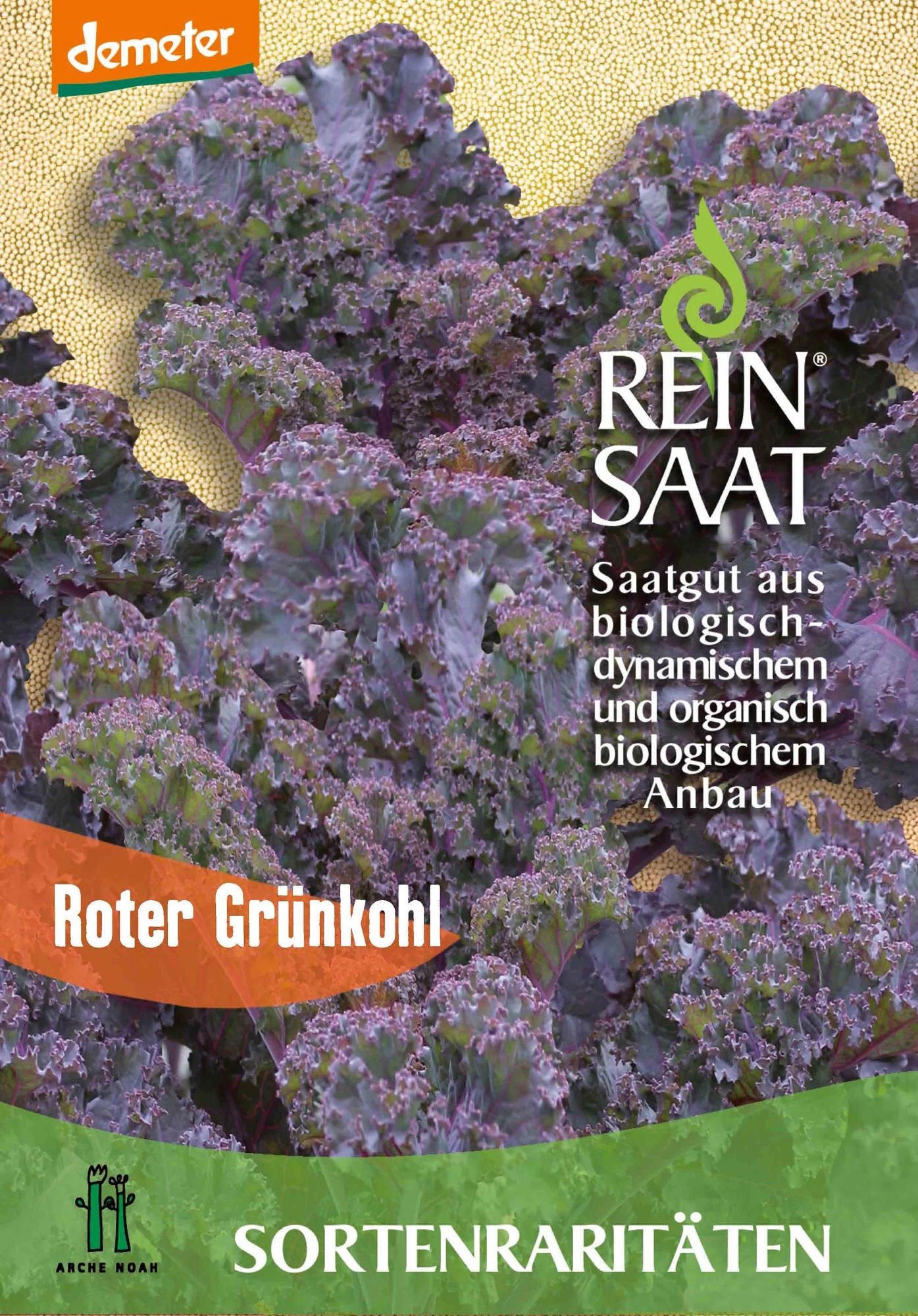 Grünkohl Roter Grünkohl | BIO Grünkohlsamen Von Reinsaat