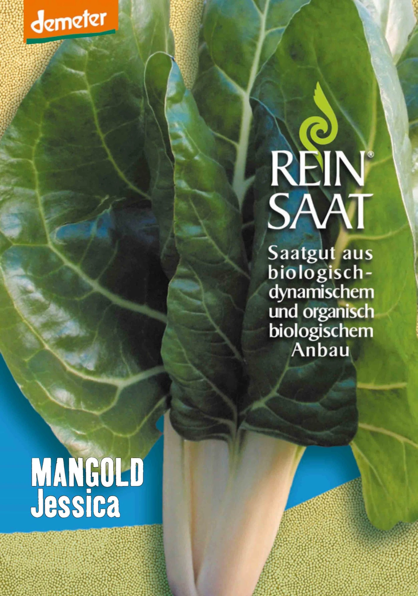 Mangold Jessica | BIO Mangoldsamen Von Reinsaat