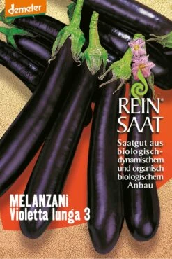 Aubergine Violetta Lunga 3 | BIO Auberginensamen Von Reinsaat