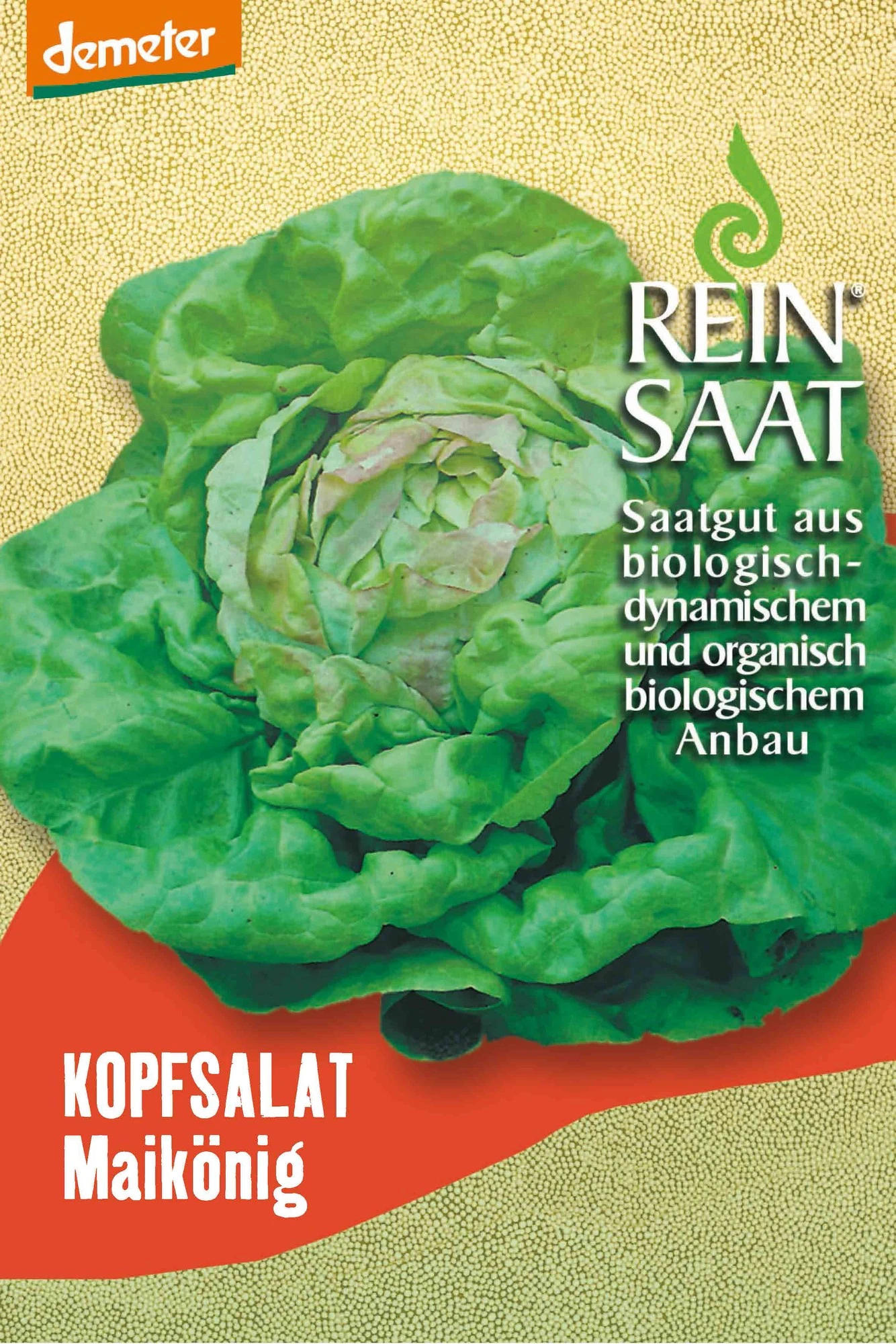 Kopfsalat Maikönig | BIO Kopfsalatsamen Von Reinsaat