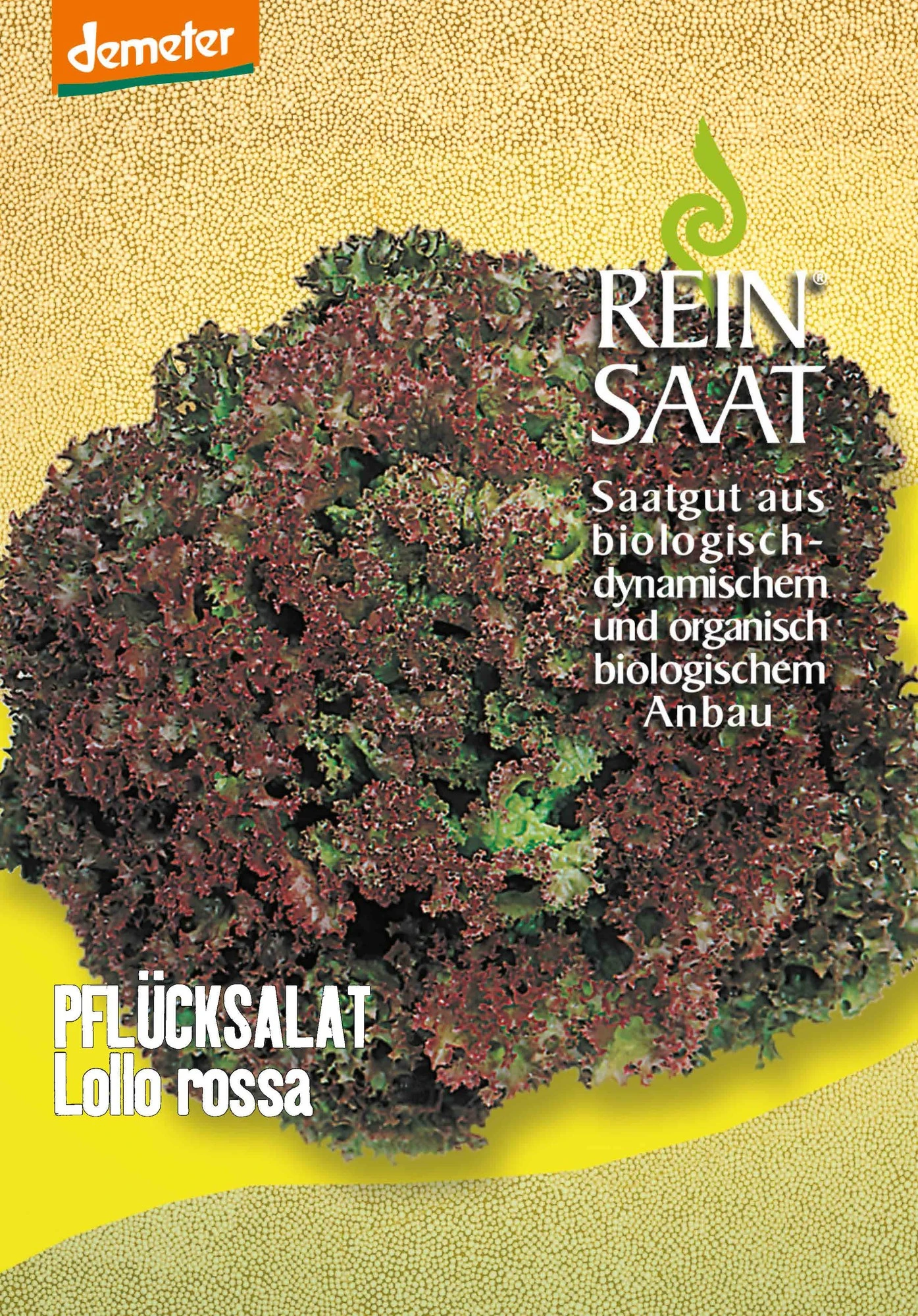 Pflücksalat Lollo Rossa | BIO Pflücksalatsamen Von Reinsaat