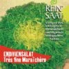 Endivie Tres Fine Maraichère | BIO Endiviensalatsamen Von Reinsaat